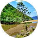 フカイ川のマングローブ風景