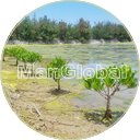 勢理客湿地のマングローブ風景