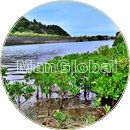 田嘉里川のマングローブ風景