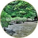 宮瀬川のマングローブ風景