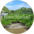 小勝干潟のマングローブ風景