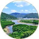 住用川のマングローブ風景