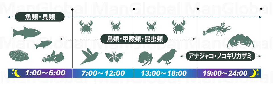 生き物の活動周期表