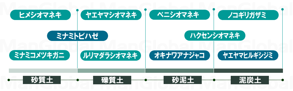 生息地の土壌性質図