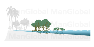 海岸型マングローブ林の地形図