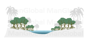 河川型マングローブ林の地形図