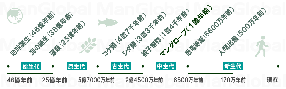 植物の誕生年表