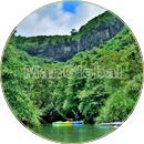 ヒナイ川のマングローブ風景