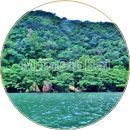 仲良川のマングローブ風景