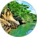 アヤンダ川のマングローブ風景