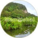 神之川のマングローブ風景
