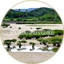 大浦川のマングローブ風景