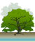 ヒルギモドキの樹形図解