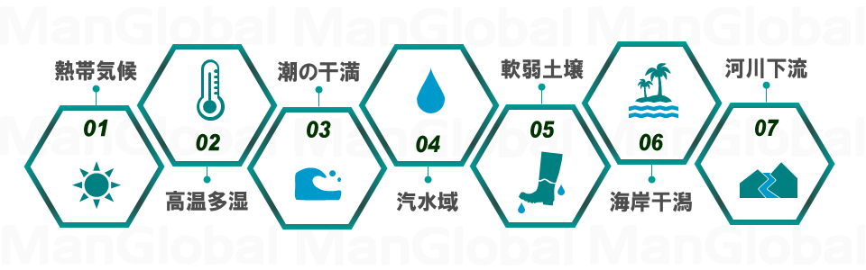 マングローブ環境の構成要素