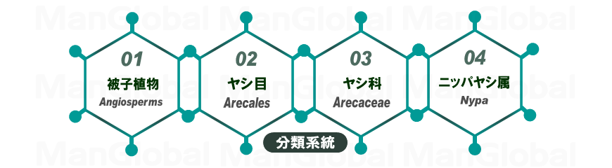 系統分類図